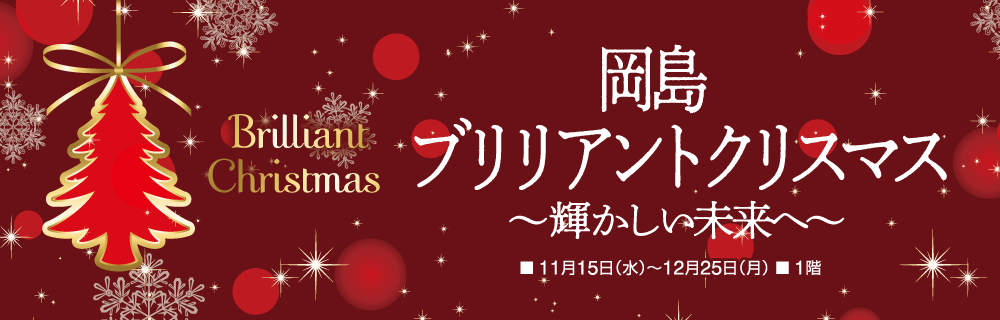岡島ブリリアントクリスマス ～輝かしい未来へ～