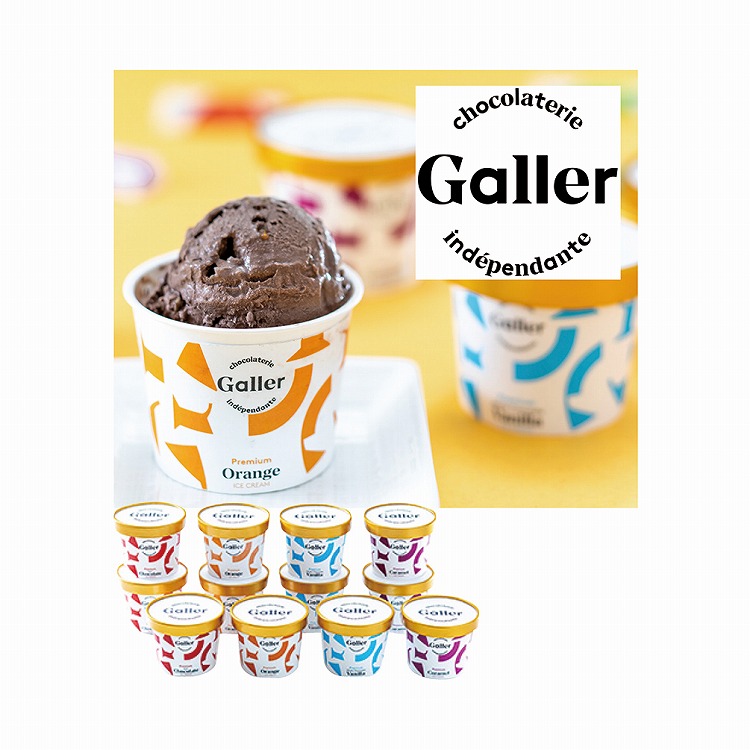 プレミアムアイスクリーム１２個セット