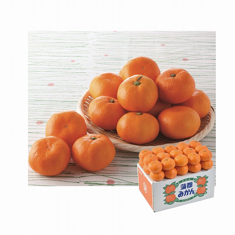 蒲郡みかん約３ｋｇ